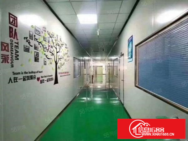 龙岗同乐原房东带装修厂房1600平出租，没有转让费可以分租