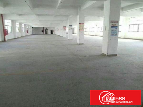 惠阳镇隆独院4800平米3层厂房出租可做污染