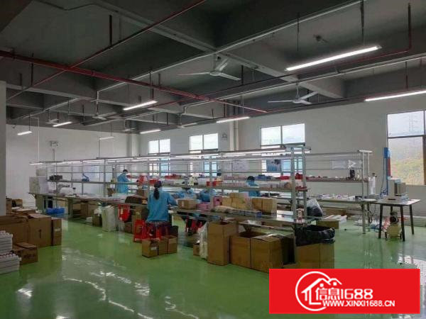 有办公室凤岗楼上厂房出租650平刷有绿色地坪漆