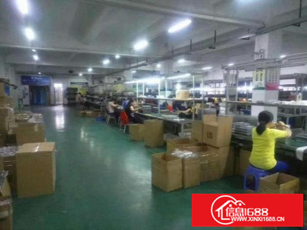 坪山碧岭金碧路500平方送装修厂房14元招租