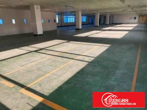 沙井国道高速附近整层2500平米厂房仓库出租精装修可分租办证