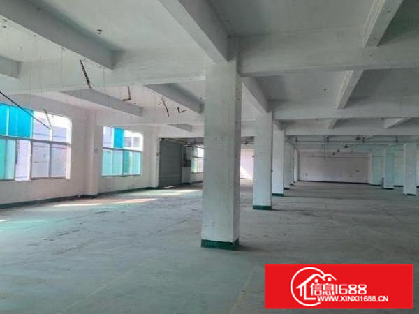 原房东直租、全新独院厂房