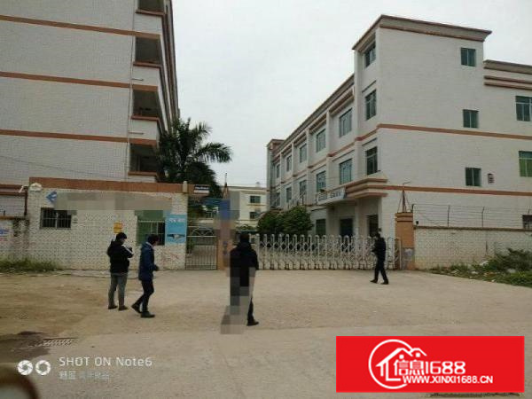 惠阳独门独院标准厂房4800带红本