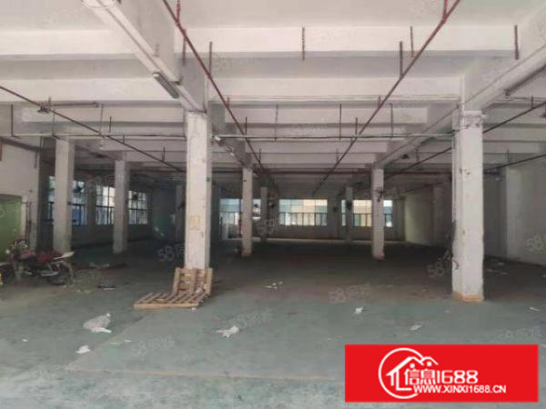 横沥镇工业园标准一楼厂房出租，层高5米