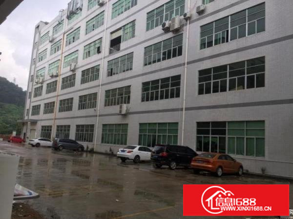 坪山碧岭金碧路旁原房东3楼1100平出租