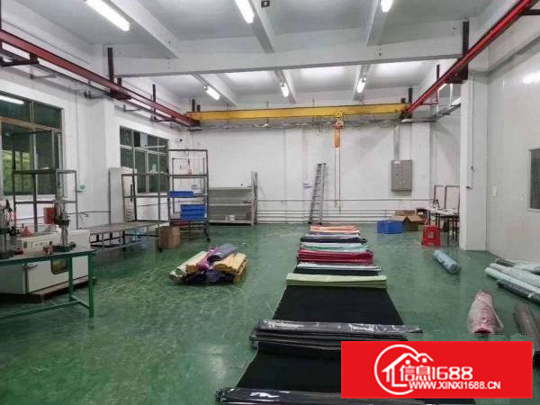 清溪三中原房东标准厂房一楼586平米带装修出租