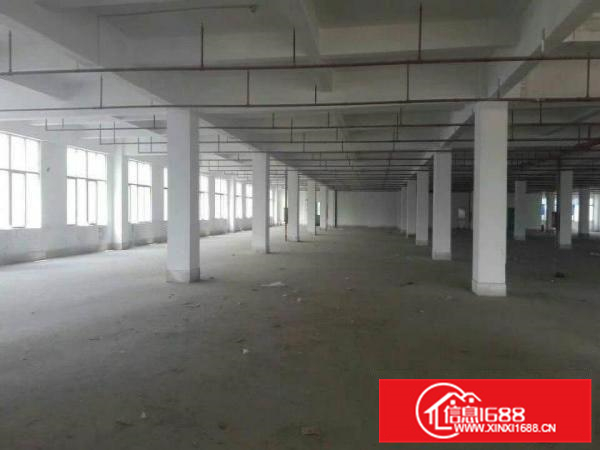 惠州陈江19000平全新独院厂房出租，证件齐全