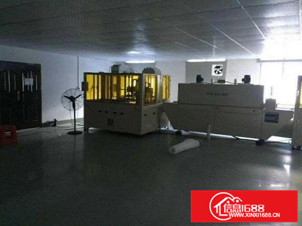 清溪九乡空出楼上1250平全层地平漆精装办公室