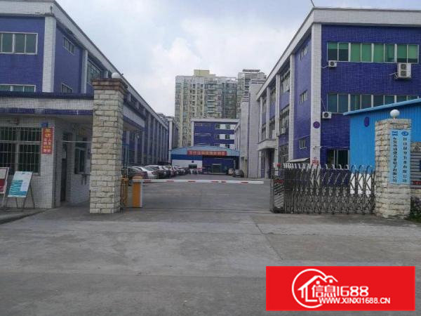 横沥镇原房东分租一楼1500平方