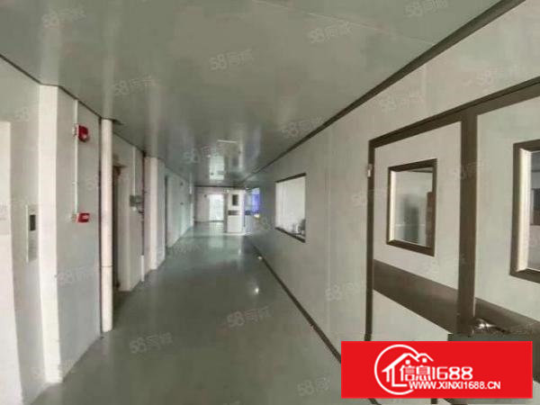 桥头镇刚新出！万级无尘车间厂房！对外出租23F3000