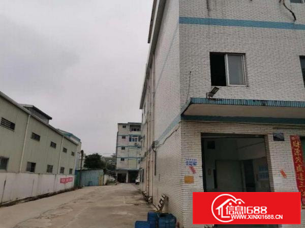 黄江镇鸡啼岗成熟工业园新出二楼600平方带装修办公室
