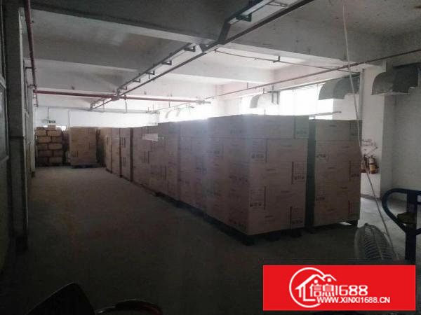 龙华汽车站附近新出2400平厂房，可分租