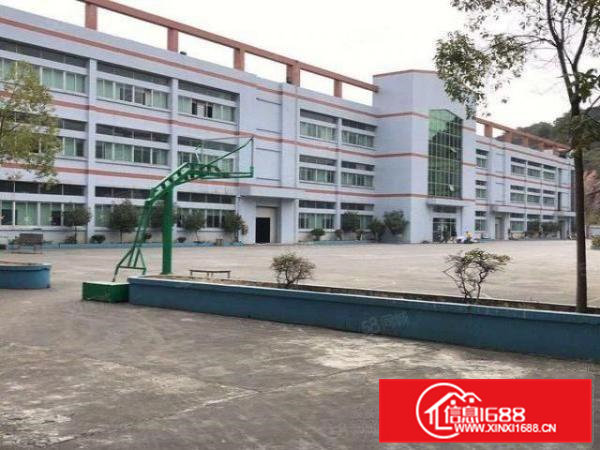 虎门大宁新出独院厂房13800平可办环评低价厂房招租