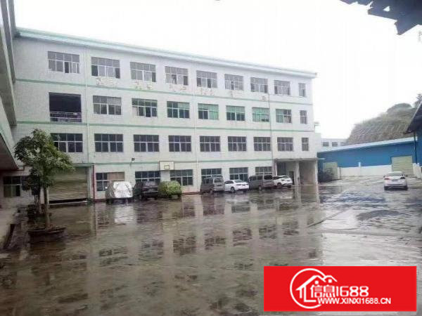 碧岭工业区标准厂房一二楼每层1800平米一楼层高6.5米