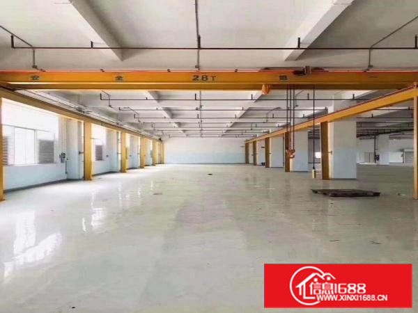 凤岗镇临深工业园厂房出租