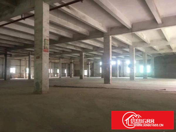 出租布吉丹竹头钢构3000平带精装修厂房