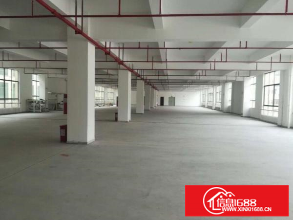 三栋大型工业园带电梯2900平方出租可分租
