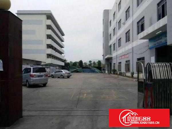 惠阳新墟800平方一楼出租可分可整高6米