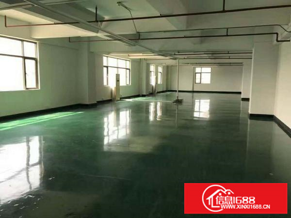 出租龙岗区龙东标准5楼厂房540平方有办公水电齐全