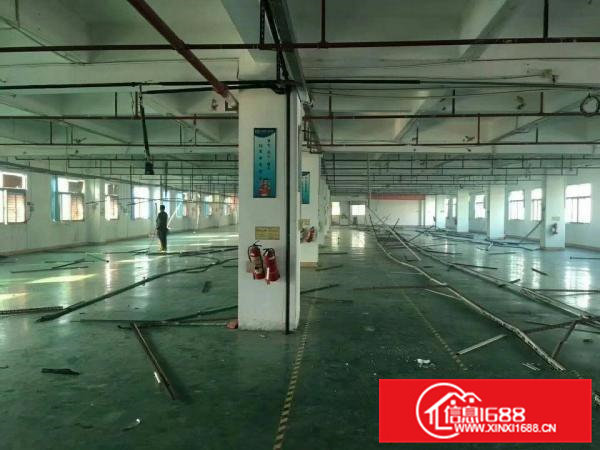 虎门镇北栅东坊路一楼或二楼1180平米厂房出租