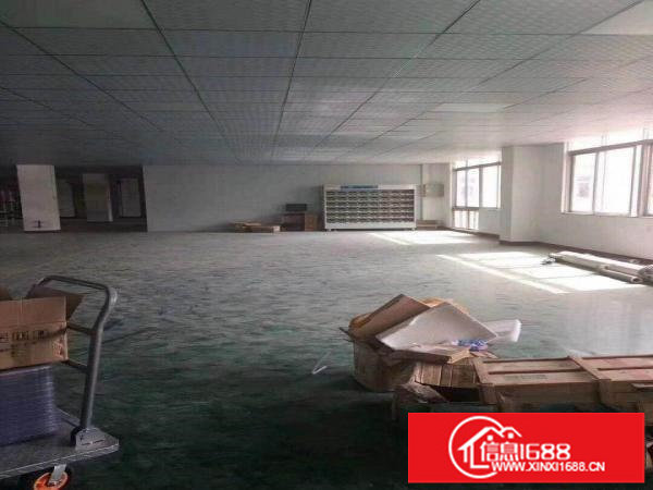 坪山碧岭楼上精装修厂房980平出租，价格好谈