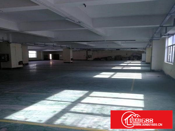 凤岗浸校塘五楼1600平米招租