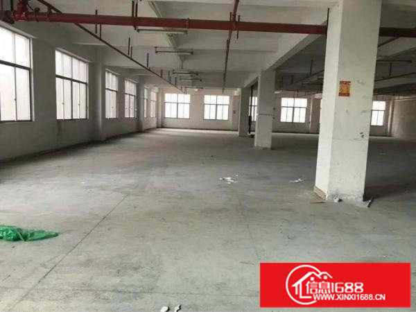 坂田2.6万平方（红本有喷淋）厂房仓库招租