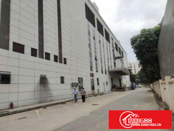 宝安区原房东花园式红本独院可做数据库厂房3栋78048平出租