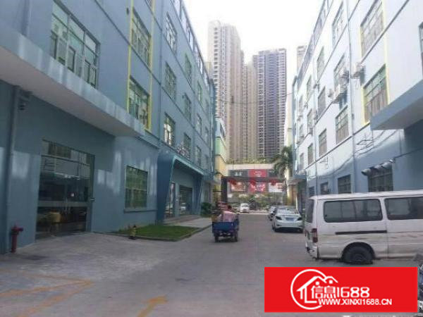 民治展滔大厦附近工业园，楼上各1000平，精装修