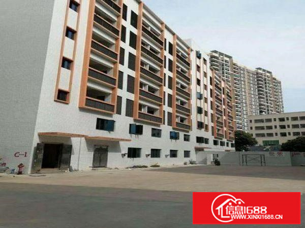 仲恺潼侨全新带消防喷淋厂房仓库1200平出租可分租