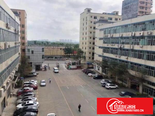 大浪大型工业区整层一楼1350平方米出租