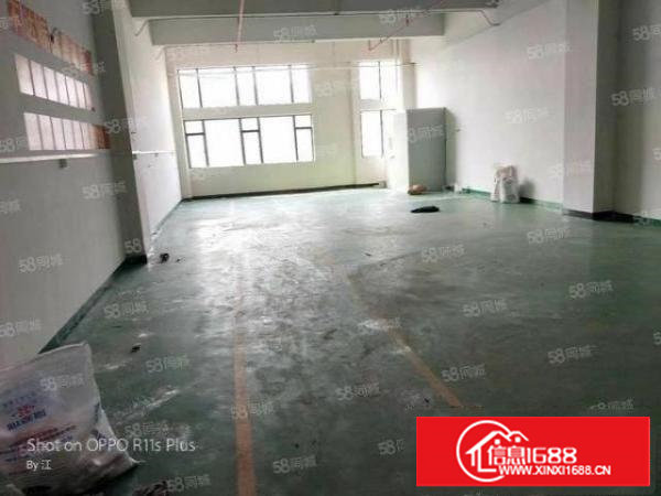 樟木头官仓社区精装修260平厂房出租