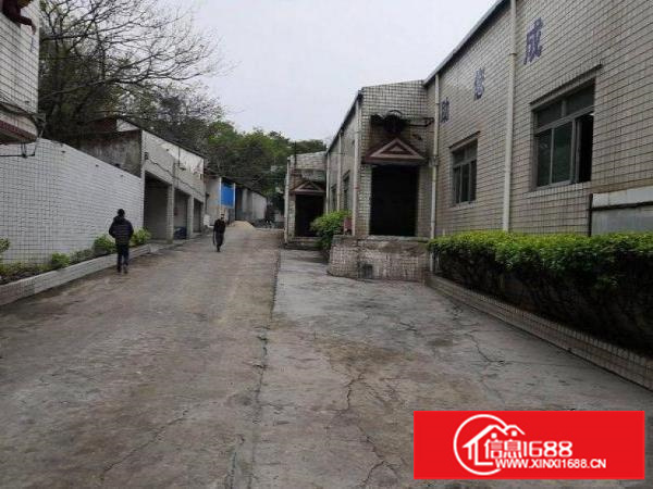 坂田新空出620平米一楼厂房低价整租