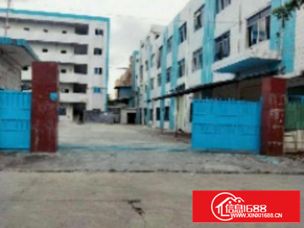 万江独院标准楼房厂房1-3层6000平方出租