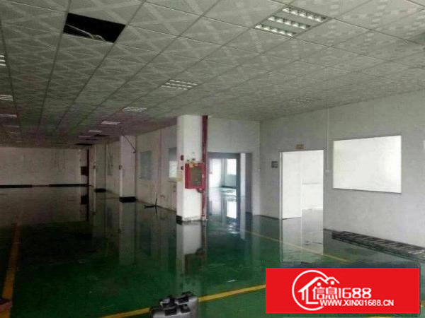 出租布吉丹竹头一楼1600平米带装修厂房