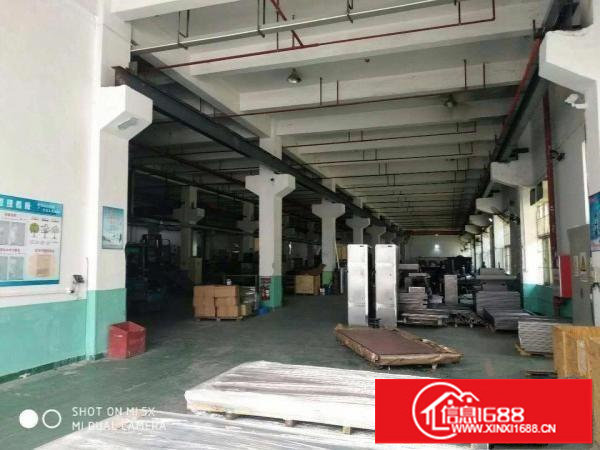 坑梓新出原房东独院7600平，一楼带牛角招租可分租