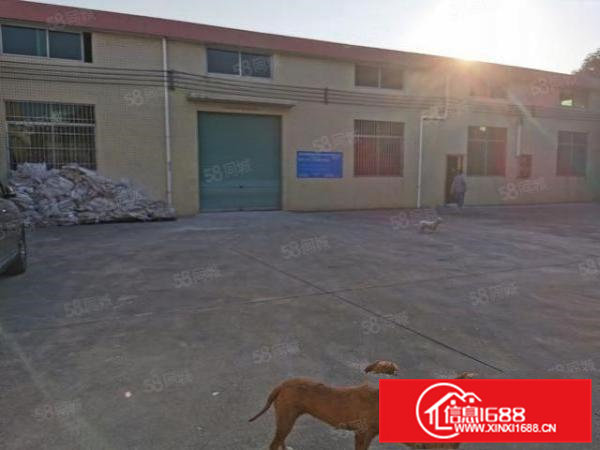 横沥东部快线边上原房东砖墙单一层厂房出租