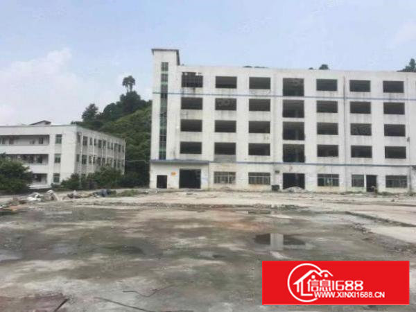 原房东独院工业园18000平方可租20年红本