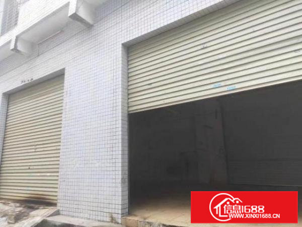 独门独栋两套一楼俩个门面带小院