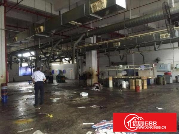 凤岗官井头嘉辉附近一二楼厂房出租2960平可分租