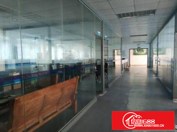 惠州仲恺区原房东一楼标准厂房出租带豪华装修