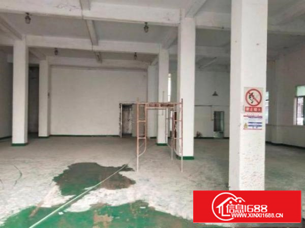 石排水贝村1400平方厂房出租高5米有地坪漆