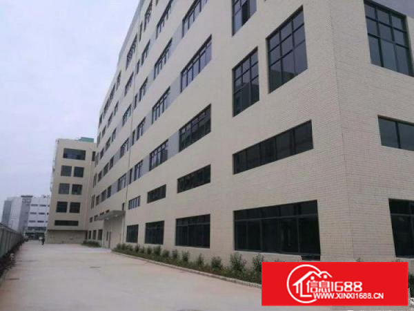 镇隆伯公坳高速口红本标准厂房50000平行业不限