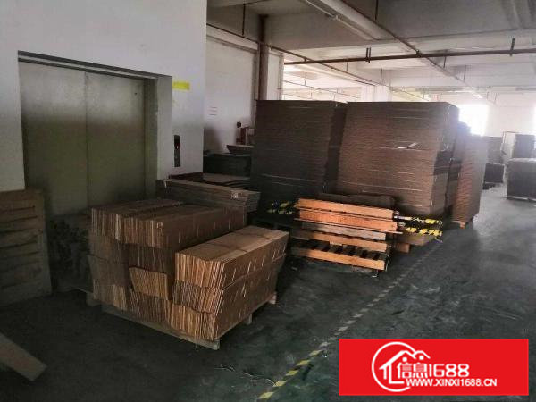 横沥新城独院标准一楼工业厂房910平招租