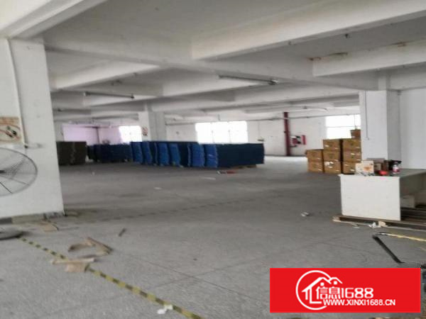 坂田一手厂房业主直租（佳兆业城市广场商圈）