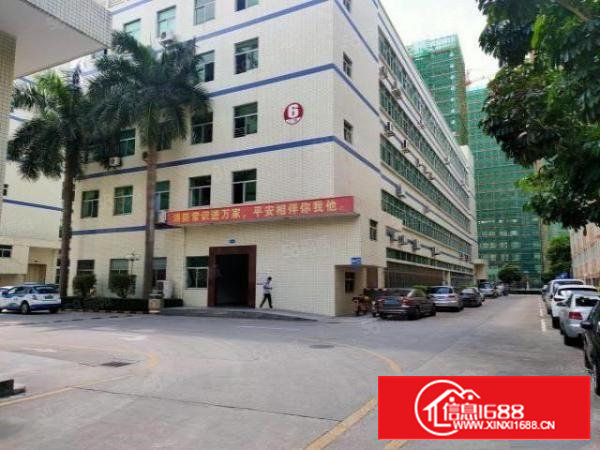 石岩水田独院仓库厂房出租工业园厂房招租精装修1200平分租