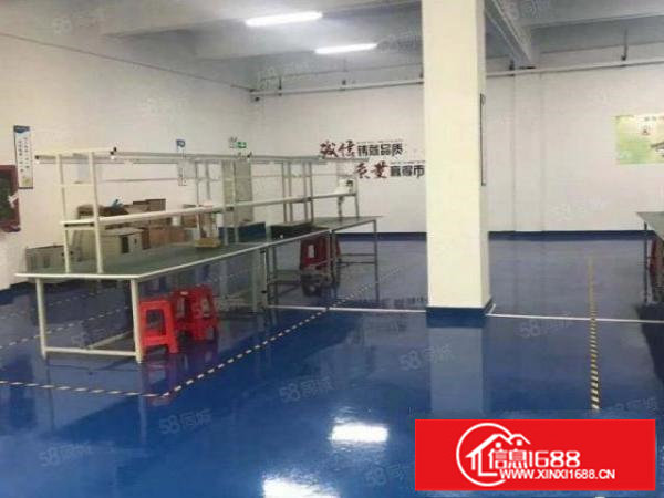 坑梓红本厂房900平米精装修全新地坪漆