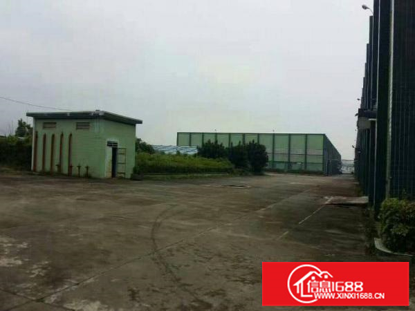 镇隆新出层高11米重工钢构厂房10000平米出租