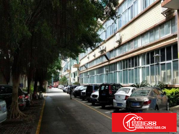 新出一手房东厂房单层1460平1楼至5楼可分租