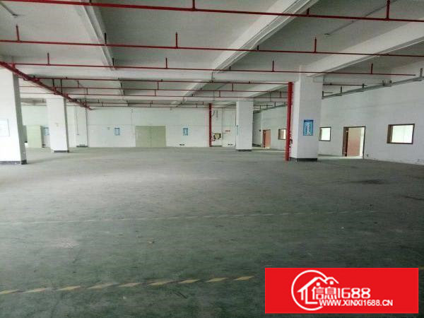 清溪大利银湖工业区独栋厂房一楼高6米，带现成5部行车免费使用